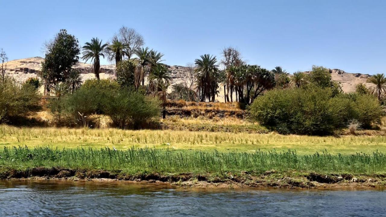 Habibi Nubian Guest House-Nubian Hospitality Ασουάν Εξωτερικό φωτογραφία